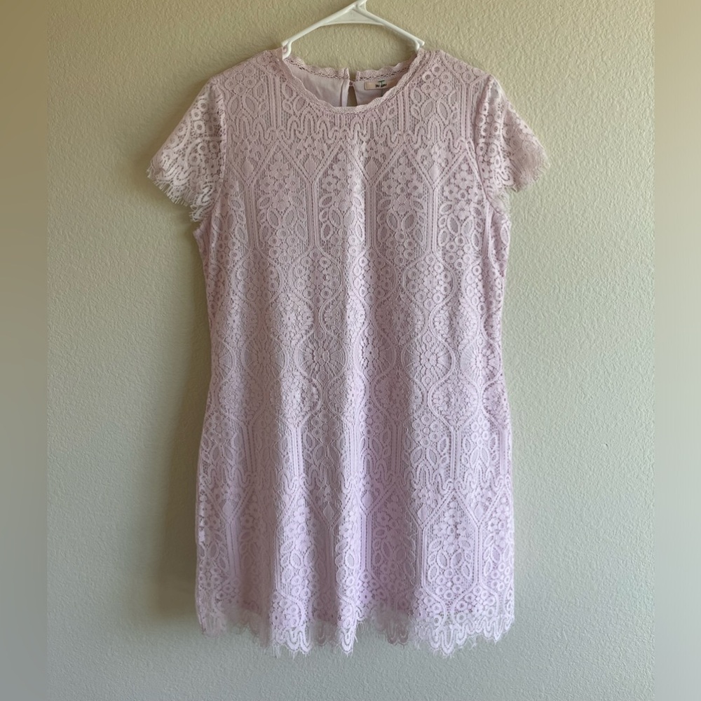 MI AMI - Francesca’s - Boutique Pink Lace Mini Dress Cap Sleeve Women’s Large - Picture 2 of 15